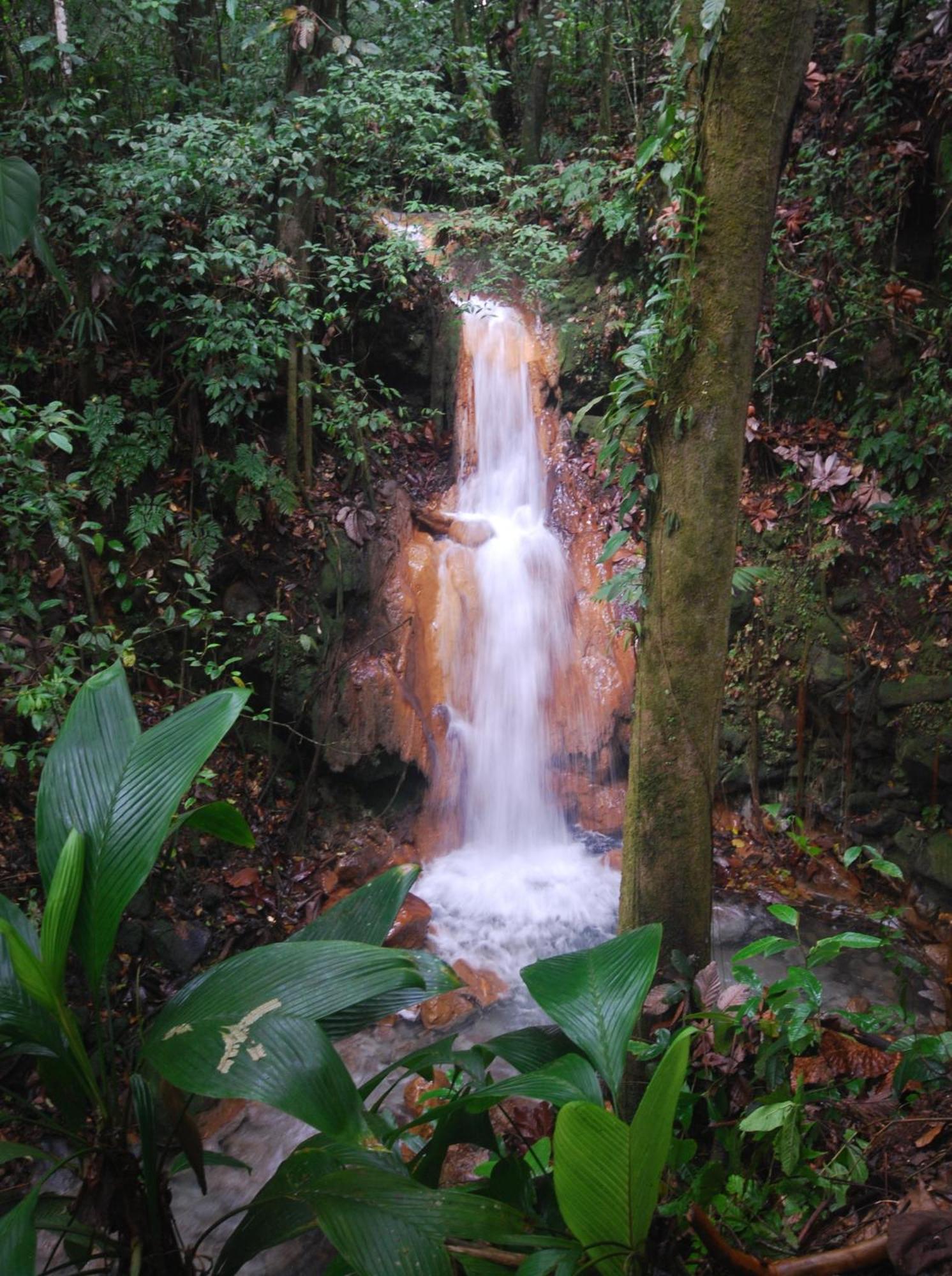 Blue River Resort & Hot Springs Rincon de la Vieja Exterior photo